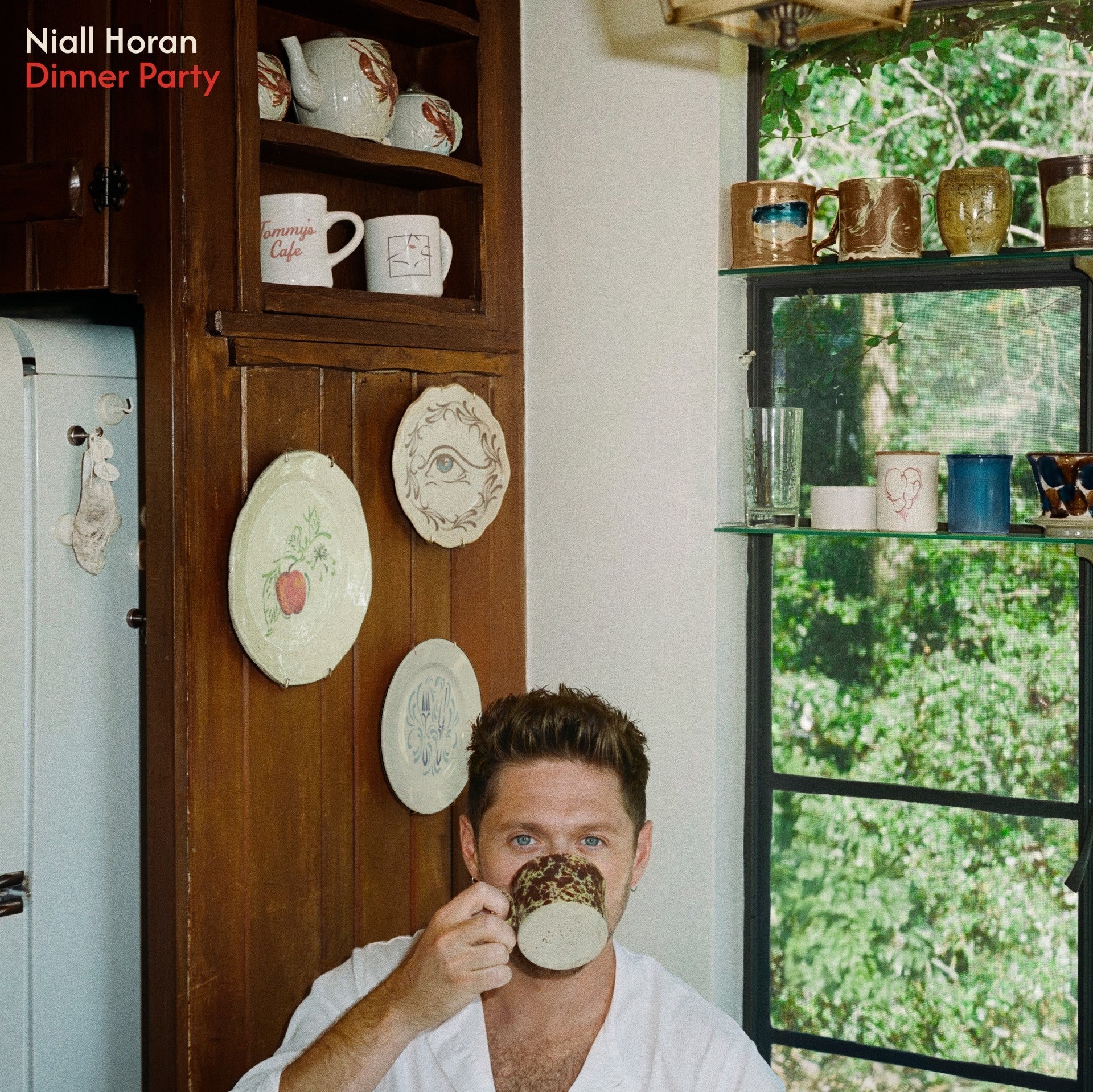 Niall Horan Dinner Party Advance Album Listening Party - Tues 2nd June @ 6pm