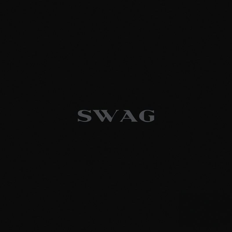 Justin Bieber Swag 2LP